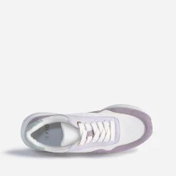 Tennis TEXTO parme, blanche, verte